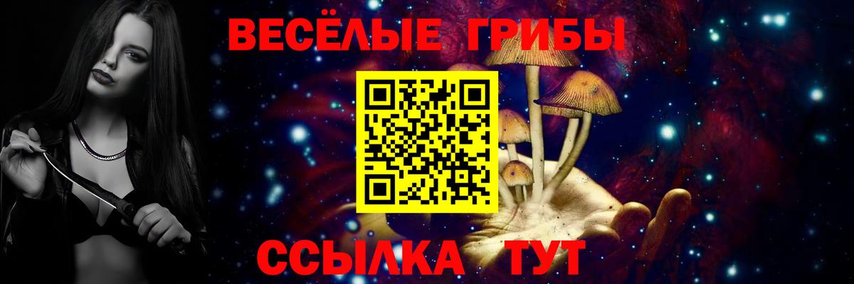 Псилоцибиновые грибы Psilocybe  Псилоцибиновые грибы ЛСД  Выкса  Вход с VPN 